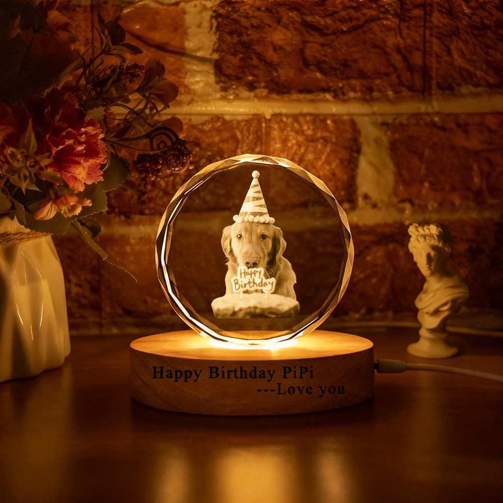 Custom Memorial Pet Photo Portrait 3D Crystal Night Light with Base Pet Birthday Gift Christmas Gifts