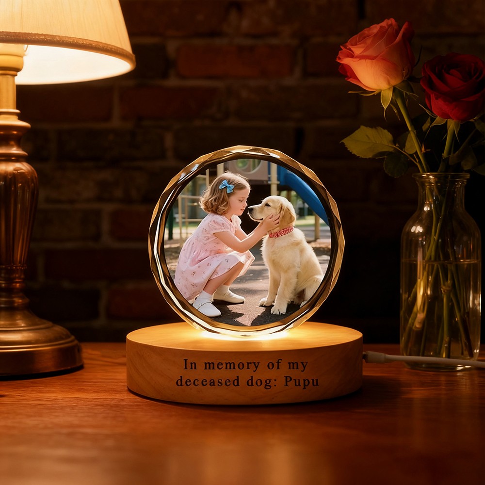 Custom 3D Crystal Pet Photo Portrait Night Light with Base Gifts for Dog Owners Pet Loss Gift Christmas Gifts