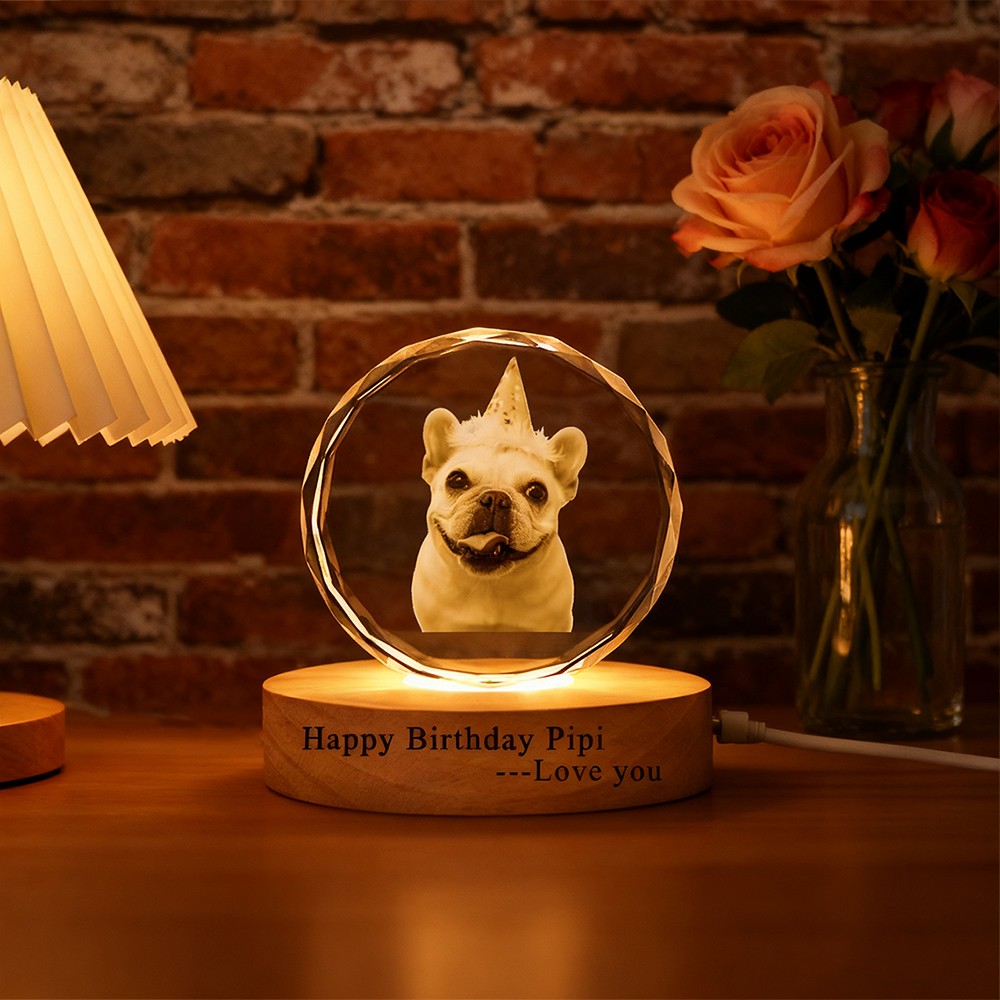 Custom Memorial Pet Photo Portrait 3D Crystal Night Light with Base Pet Birthday Gift Christmas Gifts