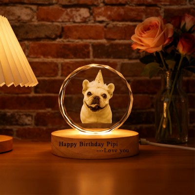 Custom Memorial Pet Photo Portrait 3D Crystal Night Light with Base Pet Birthday Gift Christmas Gifts