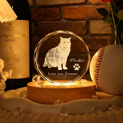Personalized Round 3D Crystal Pet Photo Portrait Night Light Pet Lover Gift Loss of Dog Gift Christmas Gifts