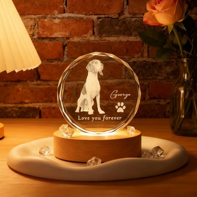 Personalized Round 3D Crystal Pet Photo Portrait Night Light Pet Lover Gift Loss of Dog Gift Christmas Gifts