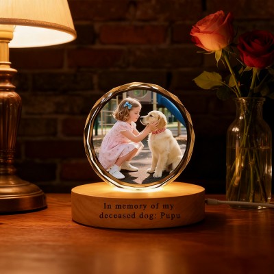 Custom 3D Crystal Pet Photo Portrait Night Light with Base Gifts for Dog Owners Pet Loss Gift Christmas Gifts