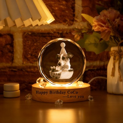 Custom Memorial Pet Photo Portrait 3D Crystal Night Light with Base Pet Birthday Gift Christmas Gifts