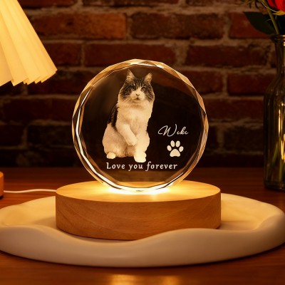 Personalized Round 3D Crystal Pet Photo Portrait Night Light Pet Lover Gift Loss of Dog Gift Christmas Gifts